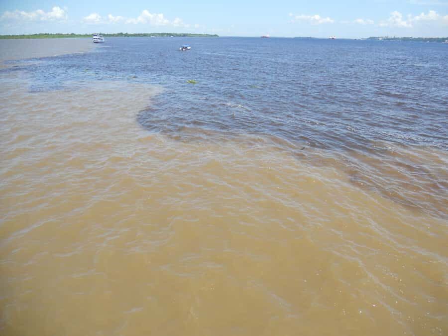 Manaus: Multi-Day Amazon Trip at Tapiri Floating Lodge - Key highlights that shape the whole trip