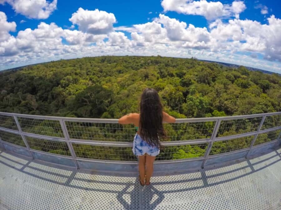 Manaus: MUSA and INPA Museums with Observation Tower Tour - The 42-meter observation tower: canopy views and practical stair reality