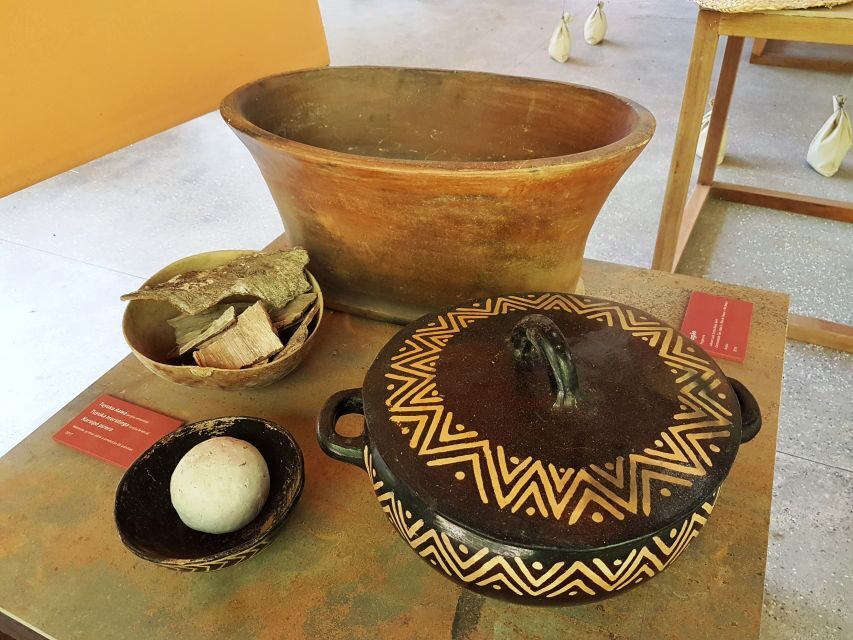 Manaus: MUSA and INPA Museums with Observation Tower Tour - Forest trails and wildlife chances: it’s not a zoo tour