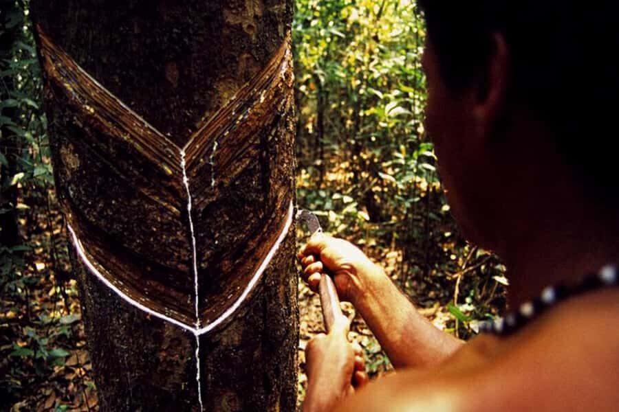 Manaus: Museu do Seringal Rubber Museum - Vila Paraíso Sets the Mood Before You Even Step In