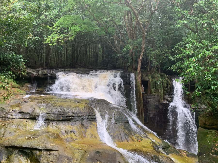 Manaus: Presidente Figueiredo Caves and Waterfalls Tour - How the 8-hour day runs from Manaus