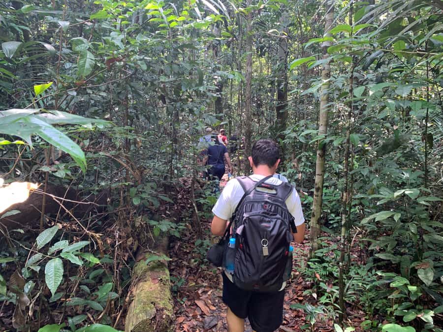 Manaus: Presidente Figueiredo Caves and Waterfalls Tour - Grotto time at Iracema Park: caves, cool air, and film history