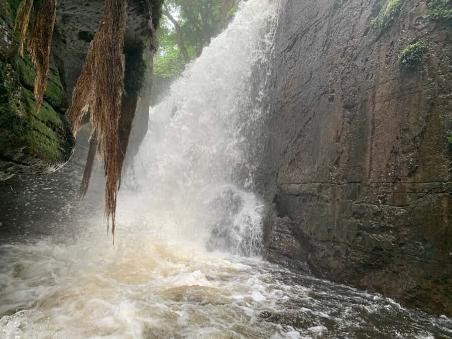 Manaus: Presidente Figueiredo Caves and Waterfalls Tour - Price and value: $367 for a group, not a solo ticket