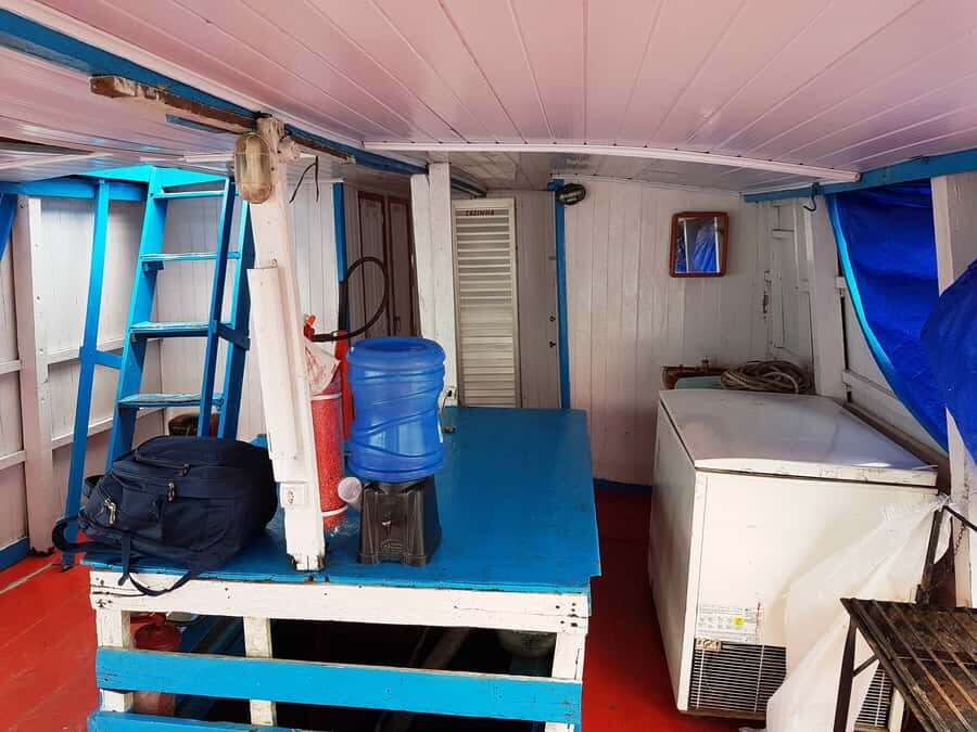 Manaus to Belem 5-Day Local Boat Trip - Days on the Water: Wildlife, Flora, and the Limits of a Ferry