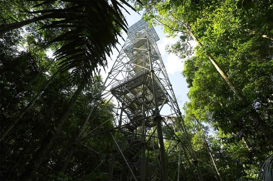 Manaus : Visit to MUSA (Amazon Museum) - Who should book this MUSA + forest reserve visit
