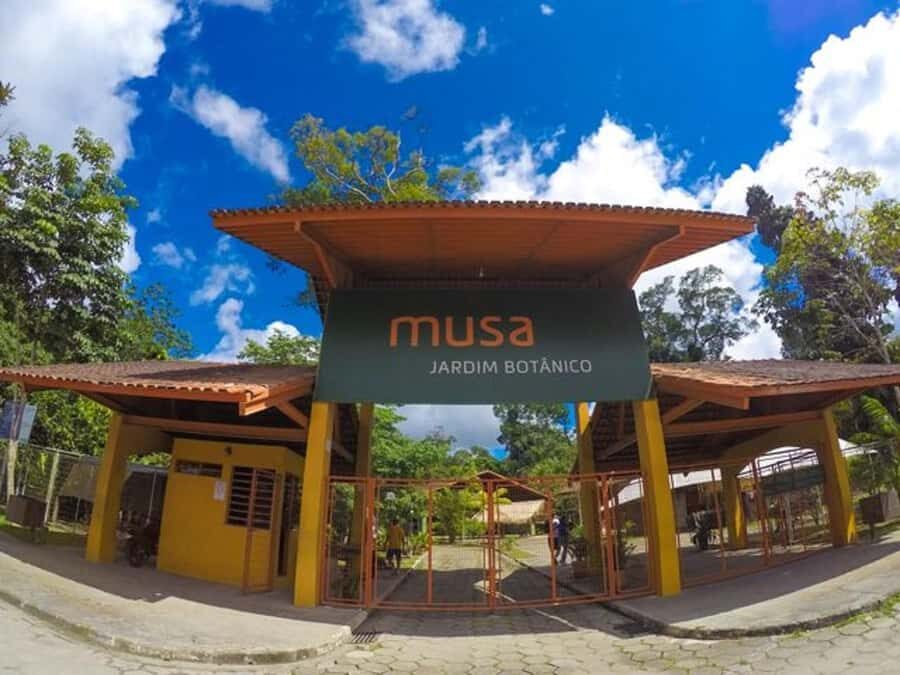 Manaus : Visit to MUSA (Amazon Museum) - MUSA exhibitions: how the museum explains habitats and human food traditions
