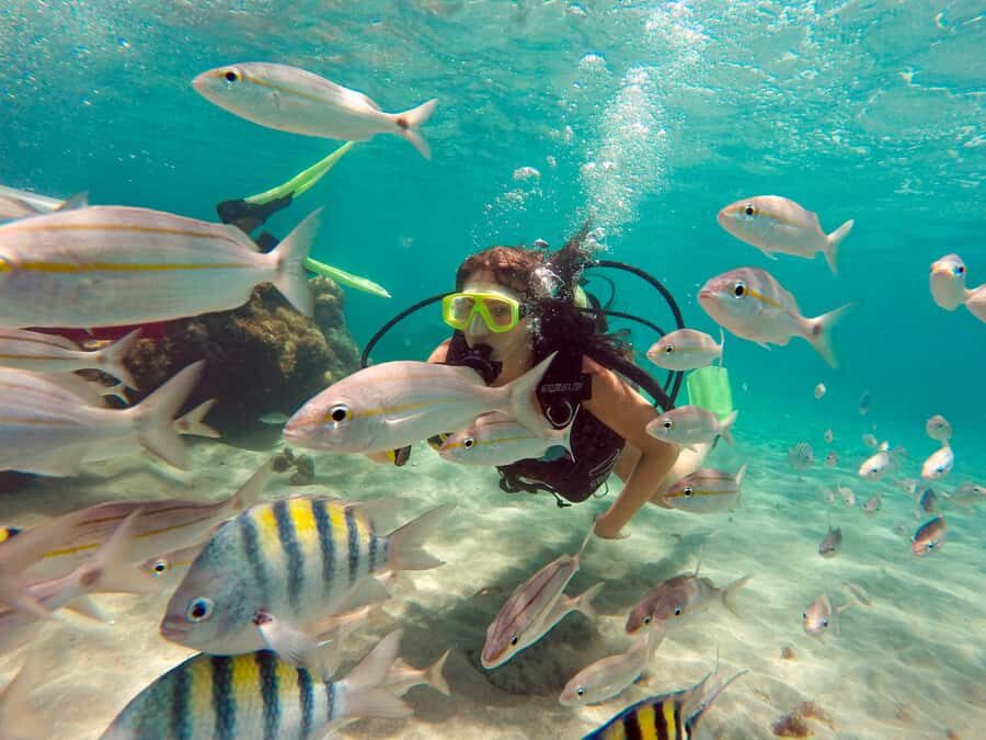 Maracajau Parrachos Reef: Mask and Snorkel swim adventure - Why Maracajaú and Parrachos Reef feel like Brazil’s Caribbean