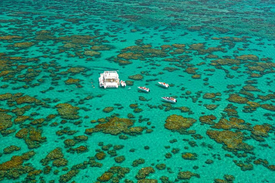 Maracajau Parrachos Reef: Mask and Snorkel swim adventure - Price and value: is $203 per person worth it?