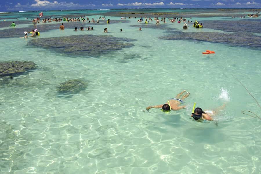 Maragogi Beach and Gales Reef Full-Day Tour from Maceio - Getting from Maceió: transfers that make life easier (and what to watch)