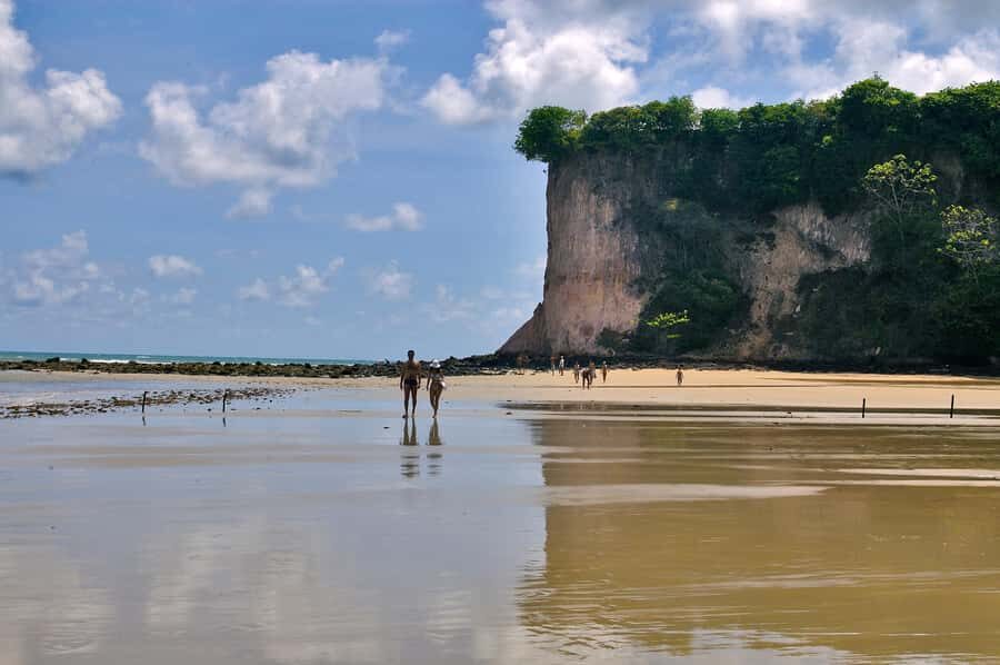 Natal: South Coast Day Tour by 4X4 with Pickup - Camurupim Natural Pools: Coral Life Without the Rush