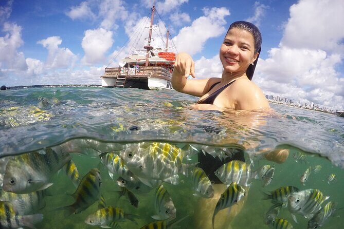 Natural Pools of Picãozinho - Emb. Pirate - Price and value: what $19.62 gets you