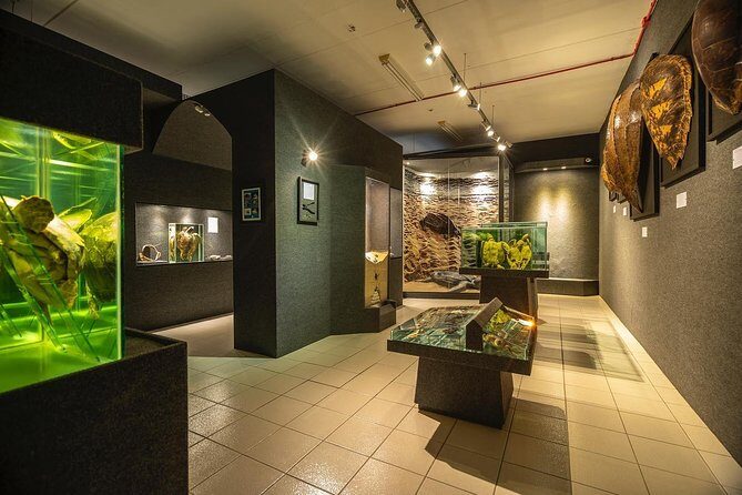 Official Ticket: Oceanographic Museum Univali - Piçarras - SC - Key Things You’ll Notice Right Away