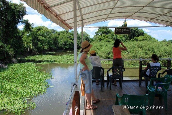 Pantanal Day Trip - All Inclusive - Leaving Campo Grande - Price and Value: Is $195.46 Worth a Full Pantanal Day?