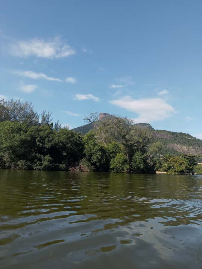 Pantanal of Rio de Janeiro - Key Things to Know Before You Go