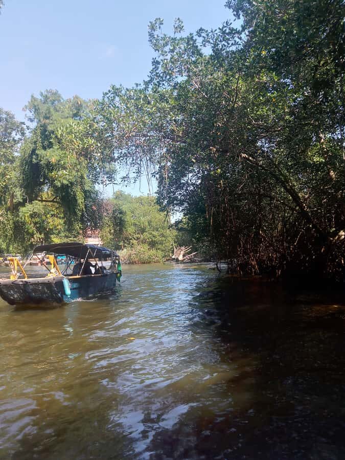 Pantanal of Rio de Janeiro - Gigóia Island: Where the Wildlife Time Happens