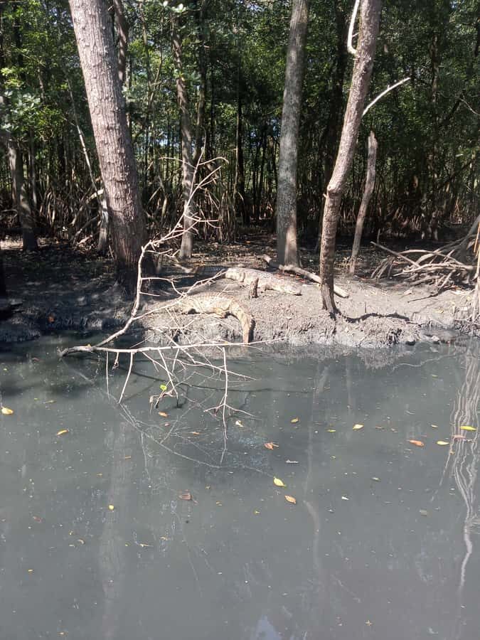 Pantanal of Rio de Janeiro - Meeting Point at Jardim Oceânico: Easy to Find, Still Don’t Be Late