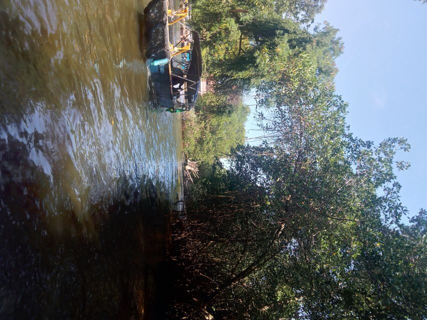 Pantanal of Rio de Janeiro - What to Pack for This 3-Hour Rio Escape