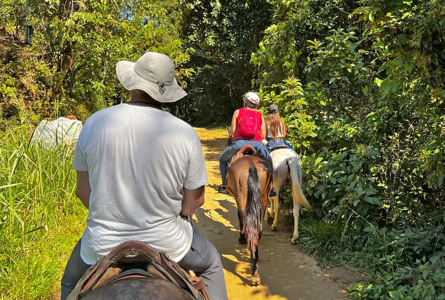 Paraty: 3-Hour Rainforest Horseback Ride - Key highlights that make this ride worth your time