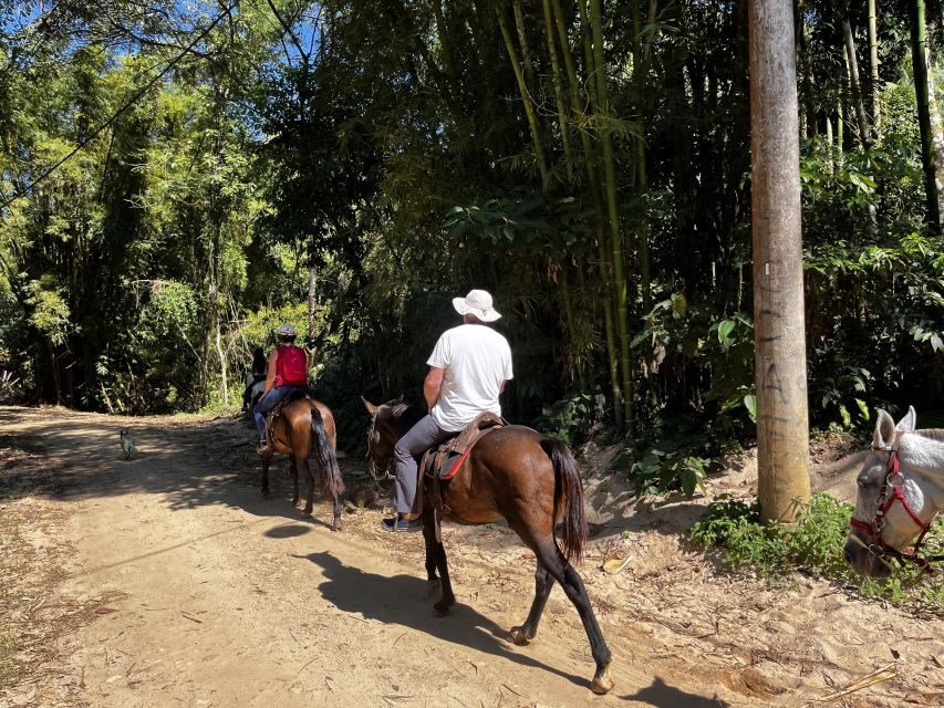 Paraty: 3-Hour Rainforest Horseback Ride - Final decision: should you book this Paraty horse ride?