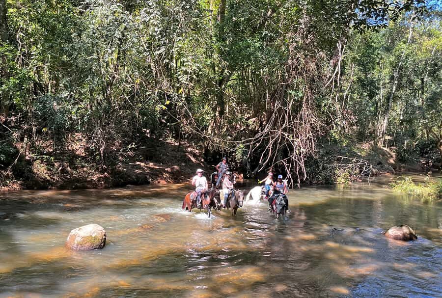 Paraty: 3-Hour Rainforest Horseback Ride - The ride itself: forest-and-plains trail time, plus waterfall breaks