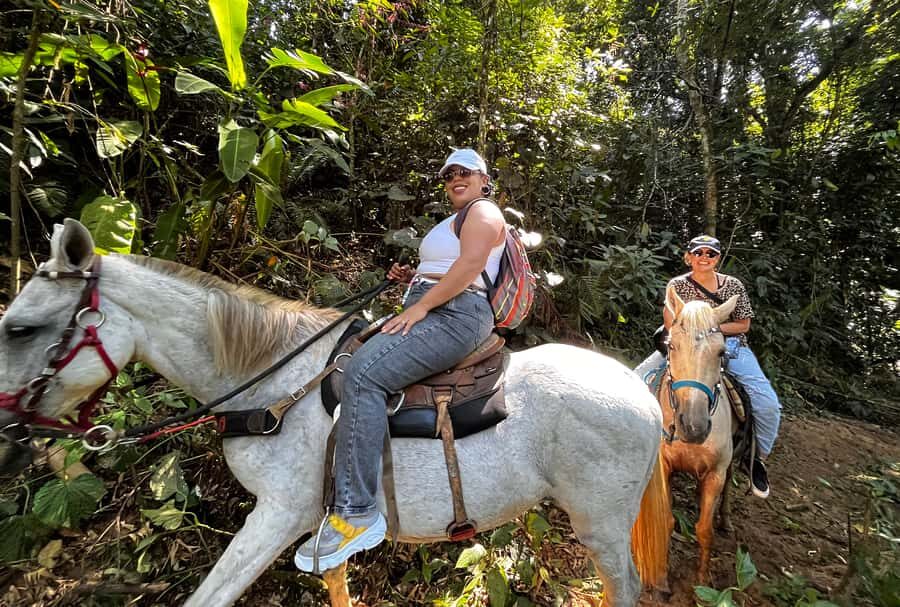 Paraty: 3-Hour Rainforest Horseback Ride - Lookouts over Paraty and Paraty Bay: the scenic payoff