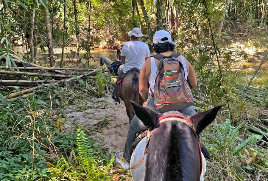 Paraty: 3-Hour Rainforest Horseback Ride - Price and value: what $120 gets you (and what it doesn’t)