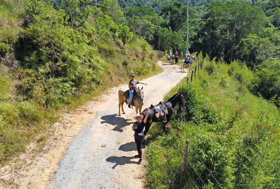 Paraty: 3-Hour Rainforest Horseback Ride - Who this horseback ride suits best
