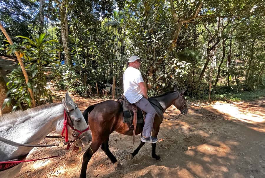 Paraty: 3-Hour Rainforest Horseback Ride - Practical tips that make the 3 hours feel smoother