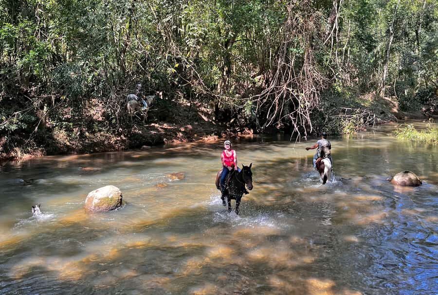 Paraty: 3-Hour Rainforest Horseback Ride - From central Paraty to Pedras Azuis: the start feels easy