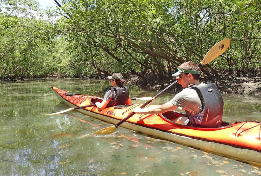Paraty Bay: Half-Day Mangroves and Beaches Tour by Kayak - Paddling Paraty Bay: calm water, small islands, and the beach swim stop