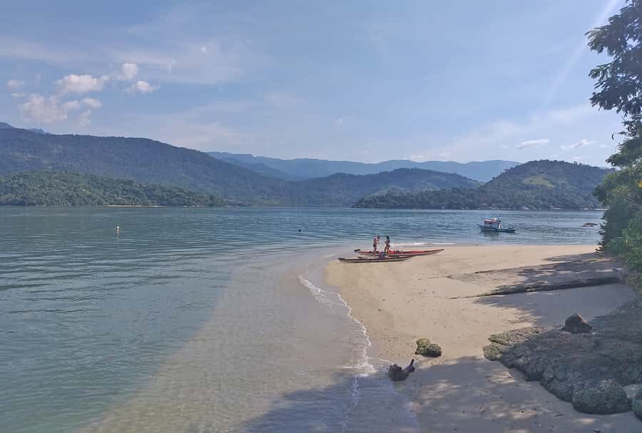 Paraty Bay: Half-Day Mangroves and Beaches Tour by Kayak - Mangroves and red crabs: when the tide controls the route