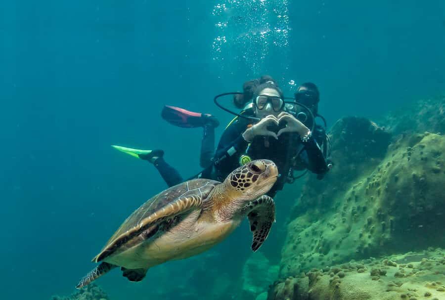 Paraty: Discovery Scuba Diving Experience for Beginners - Key highlights worth knowing