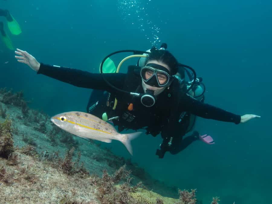 Paraty: Discovery Scuba Diving Experience for Beginners - Entering Costa Verde’s Calm Water for Your First Scuba Skills
