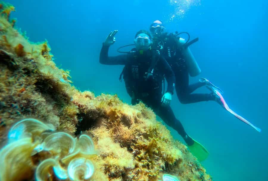 Paraty: Discovery Scuba Diving Experience for Beginners - Depth, Breathing Gear, and What 13–26 Feet Means in Real Life