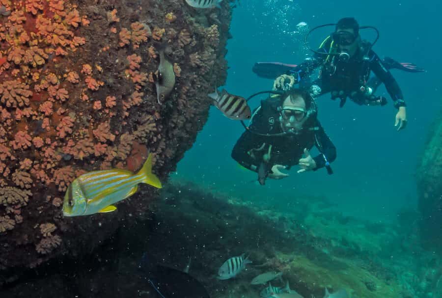 Paraty: Discovery Scuba Diving Experience for Beginners - Price and Value: Is $150 Worth It for Beginners?
