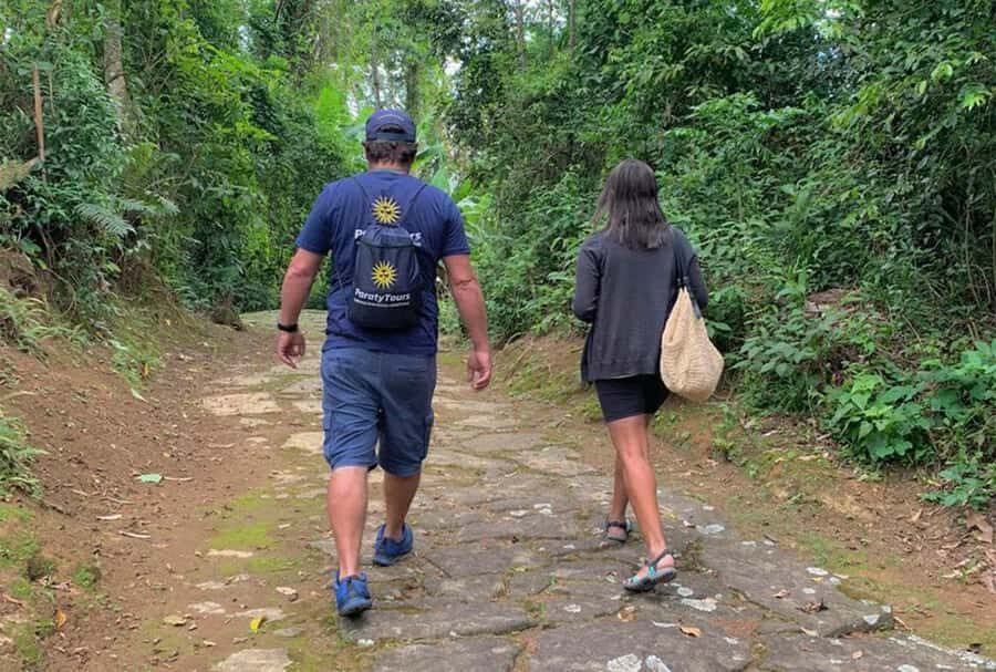 Paraty: Gold Trail Rainforest Hiking Tour - Key Highlights You’ll Care About