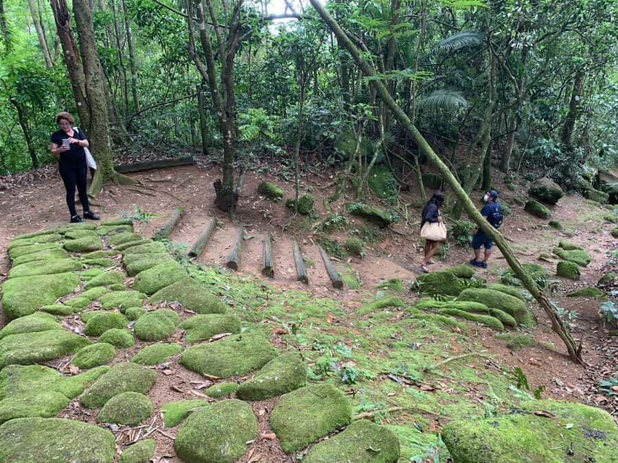 Paraty: Gold Trail Rainforest Hiking Tour - Why the Gold Trail Story Is More Than Dates