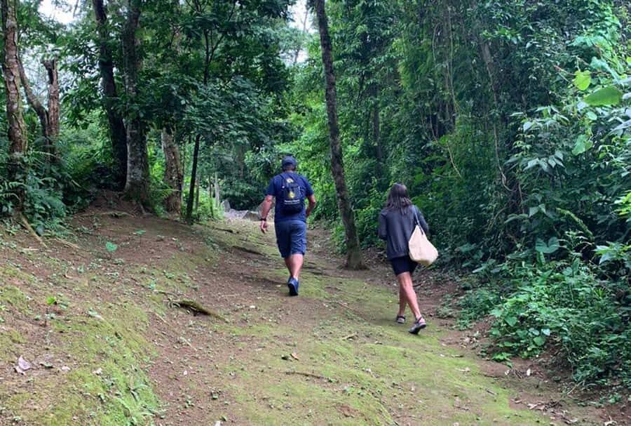 Paraty: Gold Trail Rainforest Hiking Tour - Atlantic Forest on Foot: What You’ll Actually Notice