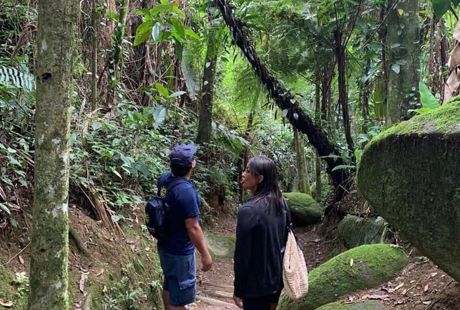 Paraty: Gold Trail Rainforest Hiking Tour - The Optional Tobogã Waterfall Stop (and Swimwear Logic)