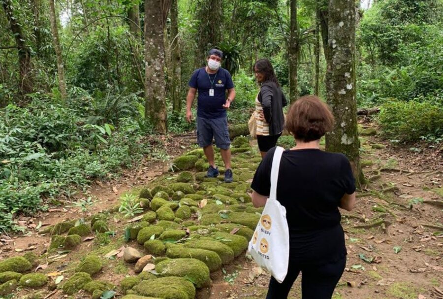 Paraty: Gold Trail Rainforest Hiking Tour - Price and Value: $75 for a 3-Hour Bilingual Small Group
