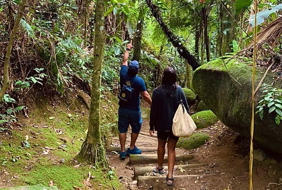Paraty: Gold Trail Rainforest Hiking Tour - Meeting at Paraty Tours Agency and Riding the Local Bus