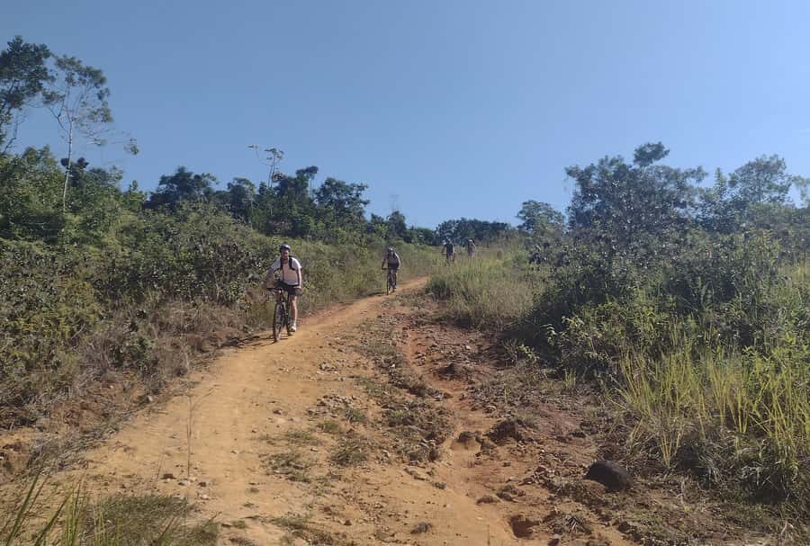 Paraty: Half-Day Bike Rental - Cachaça Distilleries: A Stop That Makes the Ride Feel Local