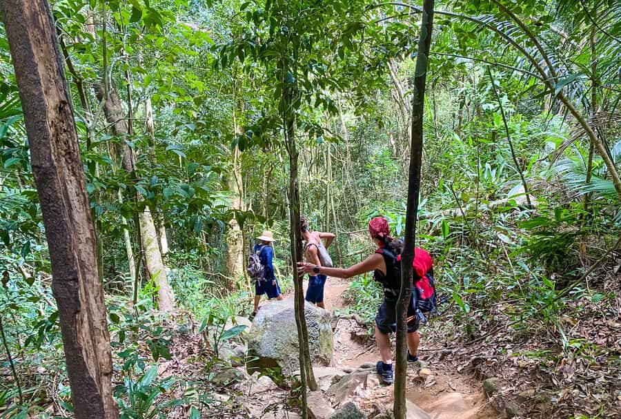 Paraty: Pão de Açucar Peak Trekking and Hiking Tour - Key Highlights You Should Actually Care About