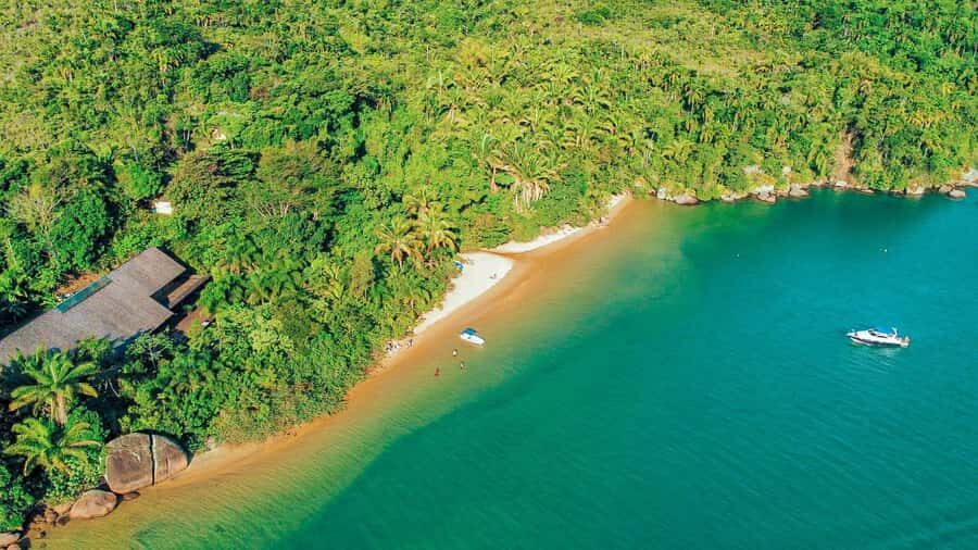 Paraty: Saco do Mamanguá Speedboat Tour - Saco do Mamanguá: the Tropical Fjord You Can Actually Swim In