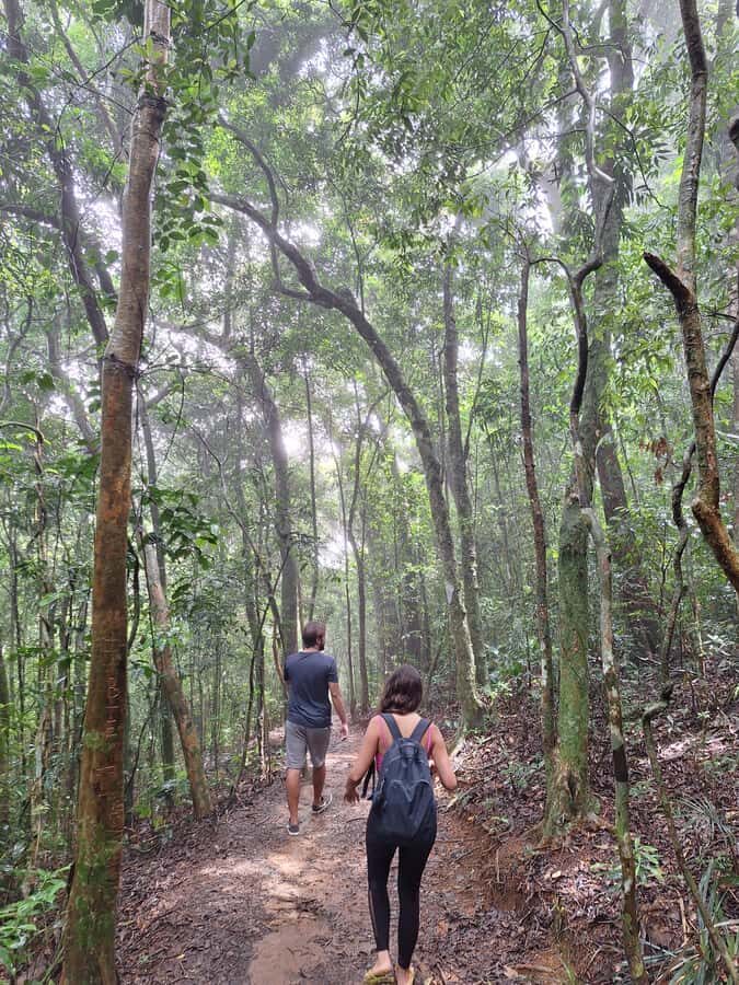 Pedra Bonita Trail: The easiest trail with a beautiful view of Rio - How the tour plays out: pickup, guided time, then the walk up