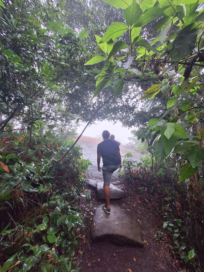 Pedra Bonita Trail: The easiest trail with a beautiful view of Rio - What to bring so the hike feels easy