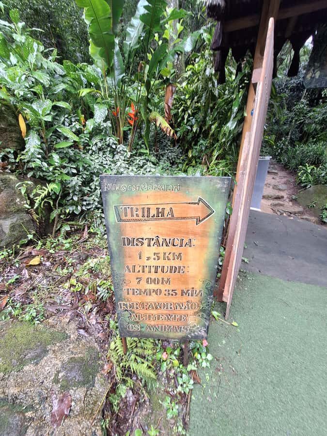 Pedra Bonita Trail: The easiest trail with a beautiful view of Rio - What not to bring: keep it calm, forest-friendly, and allowed