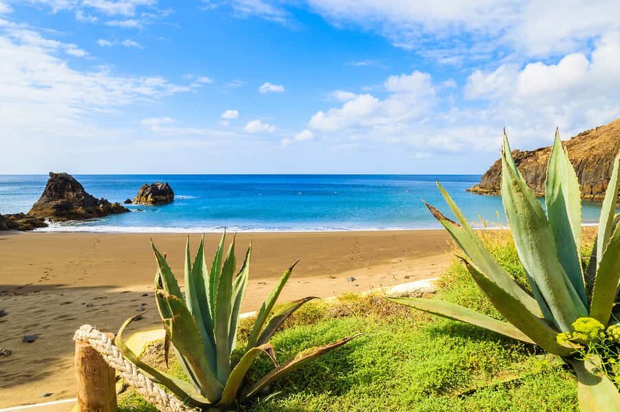 Pedra do Telégrafo Hike and Beach Full-Day Tour - Grumari or Prainha after the hike: why this ending matters