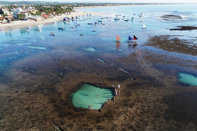 Porto de Galinhas Tour from Maragogi by Costazul Turismo - From 7:00am pickup to late-afternoon return