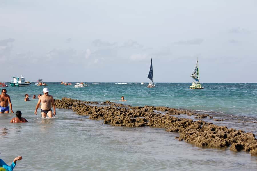 Porto Galinhas Full Day Tour - Key highlights worth your time